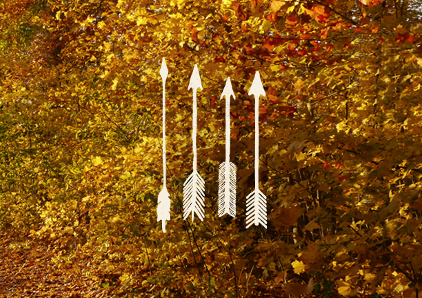 BMD Design — création 248